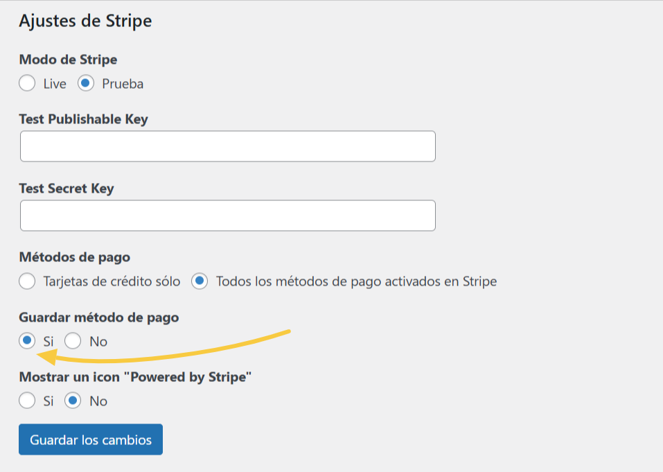 stripe-store-payment.png